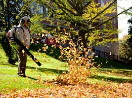 Fall Yard Clean Up Mather CA