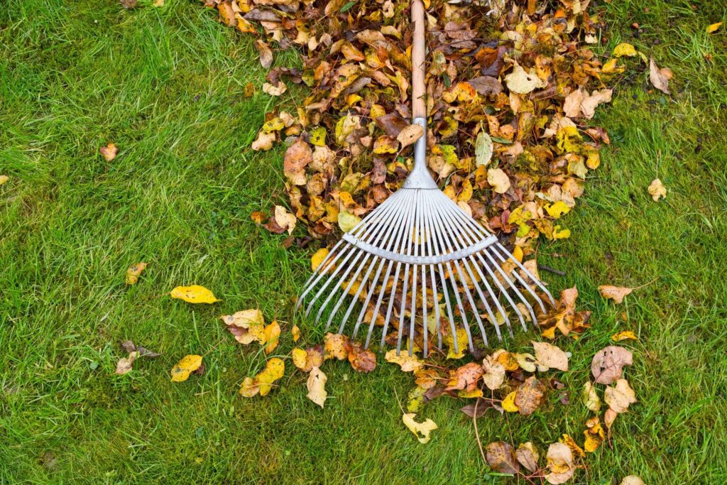 Autumn Clean Up Moutain House CA